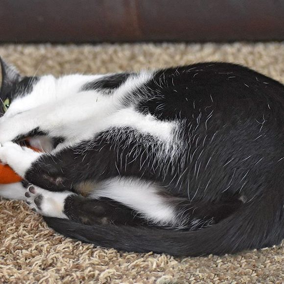 OurPets 100-Percent North American Catnip Filled Carrot Cat Toy 24 Karat - Picture 6 of 7